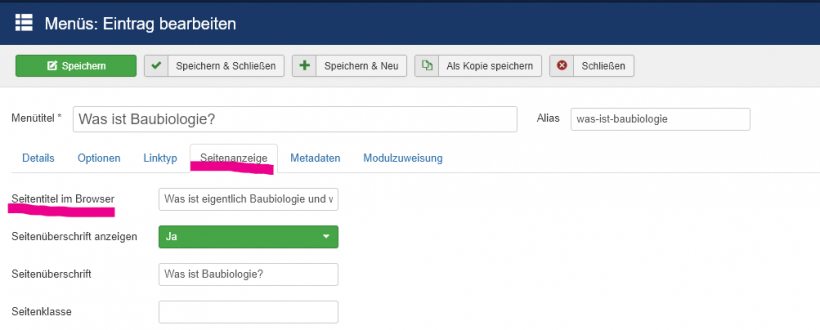 Seitentitel im Browser